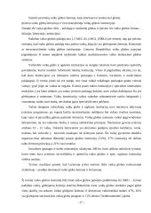 "Vaikų palikimo" prevencinė veikla Lietuvoje 17 puslapis