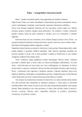 "Vaikų palikimo" prevencinė veikla Lietuvoje 7 puslapis
