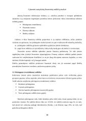 1998-2001 metų ataskaitų analizė: AB "Kalnapilis" 14 puslapis