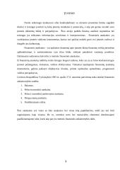 1998-2001 metų ataskaitų analizė: AB "Kalnapilis" 3 puslapis