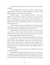 Paaugliai neformalioje aplinkoje 14 puslapis