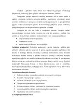 Paaugliai neformalioje aplinkoje 16 puslapis