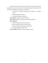 Paaugliai neformalioje aplinkoje 4 puslapis