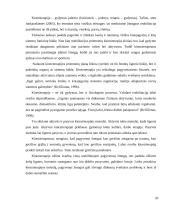 Pagyvenusių žmonių slauga ir reabilitacija 19 puslapis