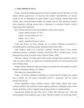 Pagyvenusių žmonių slauga ir reabilitacija 4 puslapis