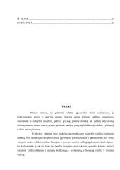 Pagrindinės politinės sistemos institucijos 2 puslapis