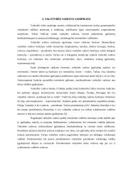 Pagrindinės politinės sistemos institucijos 10 puslapis