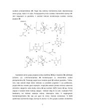6/5 kondensuotų pirimidino antifoliatų sintezė ir aktyvumas 12 puslapis