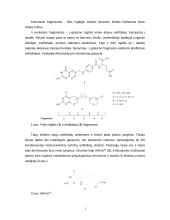 6/5 kondensuotų pirimidino antifoliatų sintezė ir aktyvumas 4 puslapis