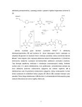 6/5 kondensuotų pirimidino antifoliatų sintezė ir aktyvumas 7 puslapis