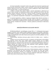 Pagrindinės šiuolaikinės ekonominės srovės 12 puslapis