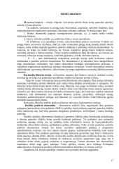 Pagrindinės šiuolaikinės ekonominės srovės 17 puslapis