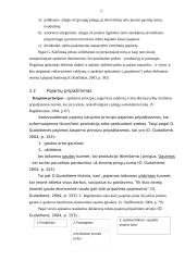 Pajamų ir sąnaudų apskaita įmonėje 5 puslapis
