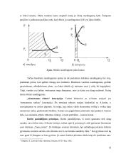 Adamo Smito gyvenimas bei ideologijos 12 puslapis