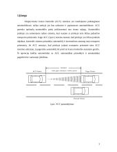 Adaptyvios kruizo kontrolės sistemos 2 puslapis