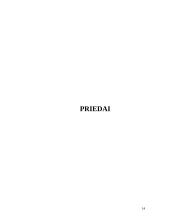 Adaptyvios kruizo kontrolės sistemos 13 puslapis