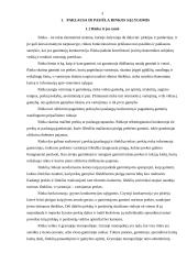 Paklausos ir pasiūlos teorija ir jos praktinis taikymas 2 puslapis