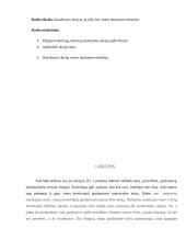 Akcijos. Akcijų rūšys. Akcijų vertės nustatymo metodai 6 puslapis