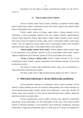 Akcizų taikymas ir jų apskaičiavimas 10 puslapis
