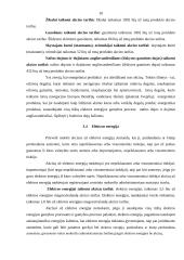 Akcizų taikymas ir jų apskaičiavimas 9 puslapis