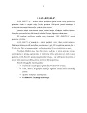 Pardavimo agentų vertinimo sistema įmonėje UAB "Biovela" 2 puslapis