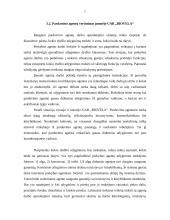 Pardavimo agentų vertinimo sistema įmonėje UAB "Biovela" 7 puslapis