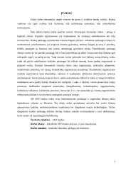 Aktyvų analizė: SEB bankas 2 puslapis