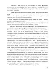 Aktyvų analizė: SEB bankas 15 puslapis