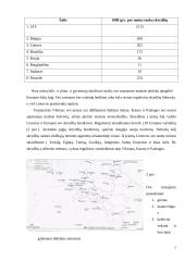 Pasaulio avia trasos ir turistiškiausi oro uostai 6 puslapis