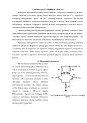 Analoginiai mikrograndynai 2 puslapis