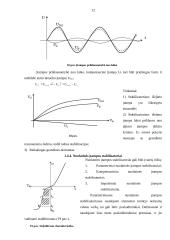 Analoginiai mikrograndynai 12 puslapis