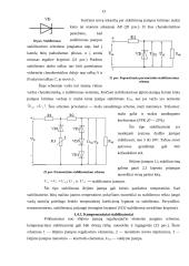 Analoginiai mikrograndynai 13 puslapis