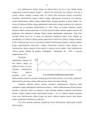 Analoginiai mikrograndynai 17 puslapis