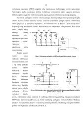 Analoginiai mikrograndynai 19 puslapis