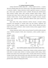 Analoginiai mikrograndynai 20 puslapis