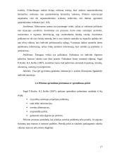 Pasirinkimo kriterijų svarba renkantis universitetą 17 puslapis