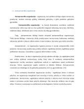 Antreprenerystė ir  jos reikšmė verslo evoliucijoje 11 puslapis