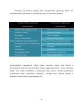 Antreprenerystė ir  jos reikšmė verslo evoliucijoje 15 puslapis