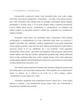 Antreprenerystė ir  jos reikšmė verslo evoliucijoje 16 puslapis