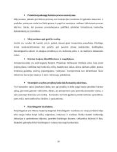 Antreprenerystė ir  jos reikšmė verslo evoliucijoje 20 puslapis