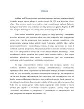 Antreprenerystė ir  jos reikšmė verslo evoliucijoje 3 puslapis