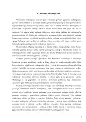 Paslaugų komplekso tyrimas: Šiaulių rajono savivaldybės kultūros centro Naisių filialas 5 puslapis