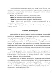 Paslaugų komplekso tyrimas: Šiaulių rajono savivaldybės kultūros centro Naisių filialas 6 puslapis