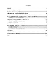 Apskaitos atsargų būdai 2 puslapis