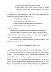 Apskaitos atsargų būdai 11 puslapis