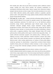 Apskaitos atsargų būdai 17 puslapis