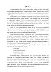 Apskaitos atsargų būdai 3 puslapis