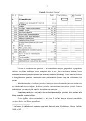 Apskaitos atsargų būdai 7 puslapis