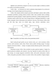 Apskaitos atsargų būdai 8 puslapis