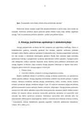 Apskaitos atsargų būdai 9 puslapis